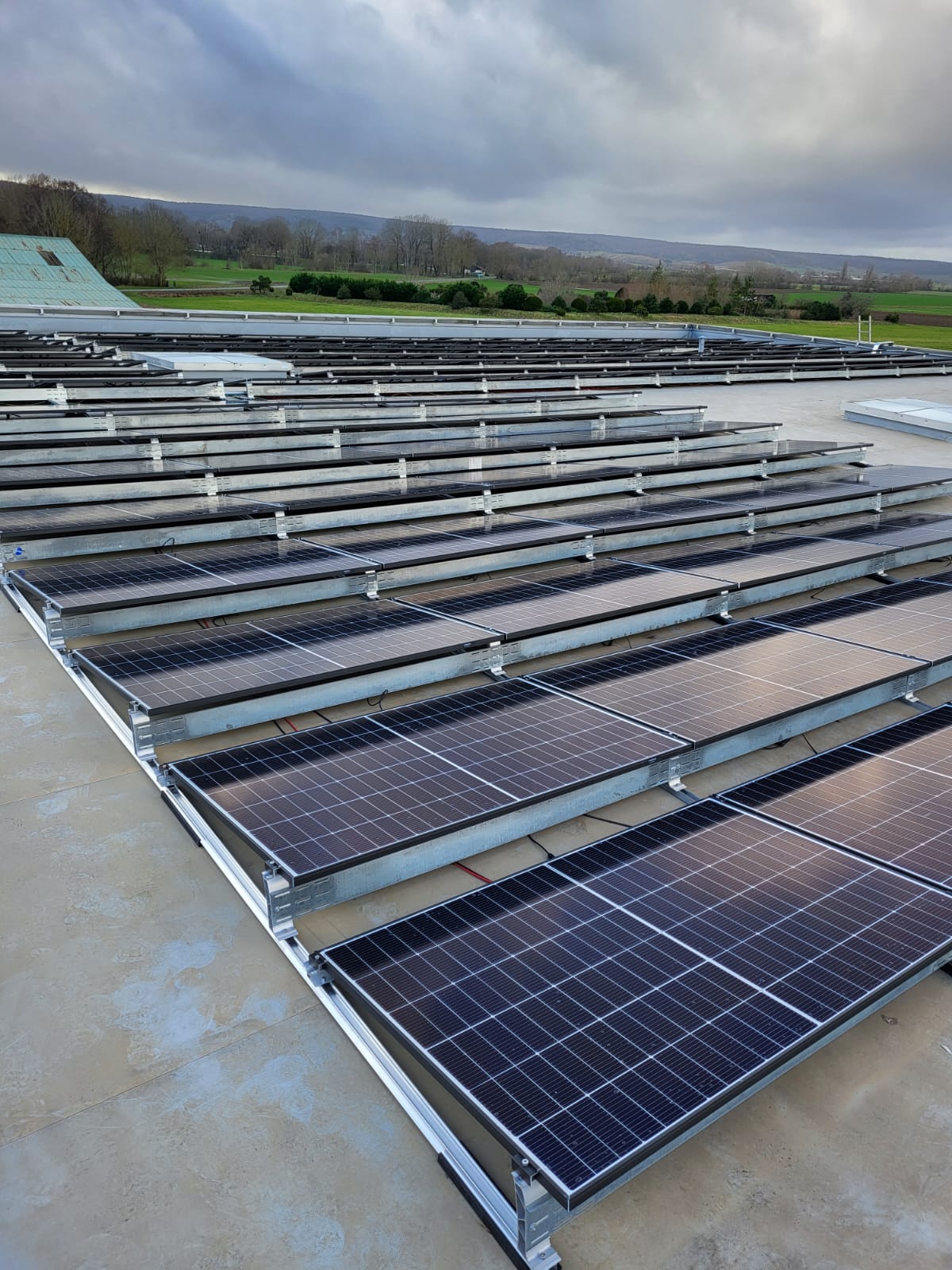 0dcc54d0-3949-4dad-a834-8646f4ab4ad7